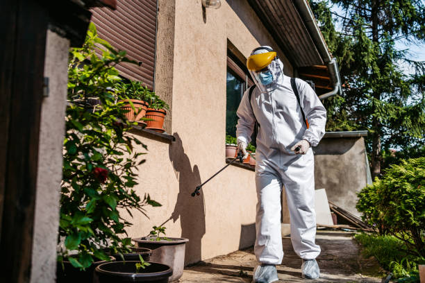 Best Affordable Pest Control Services  in North Ridgeville, OH