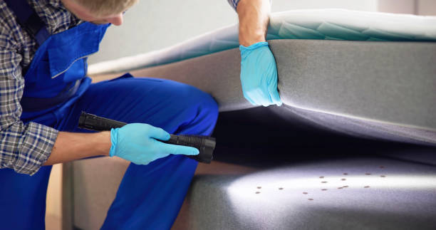 Best Exterminator Services  in North Ridgeville, OH