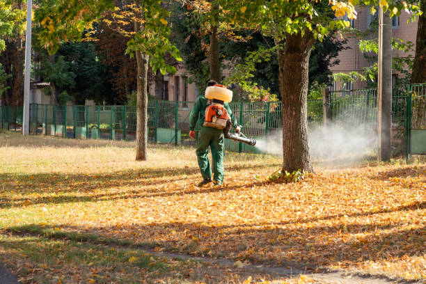 Reliable North Ridgeville, OH Pest Control Solutions