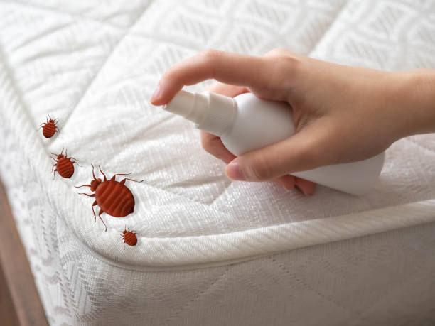 Best Pest Removal Services  in North Ridgeville, OH