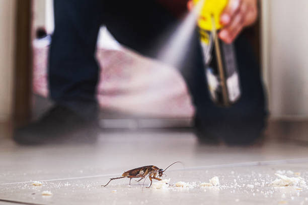 Best Cockroach Control Services  in North Ridgeville, OH