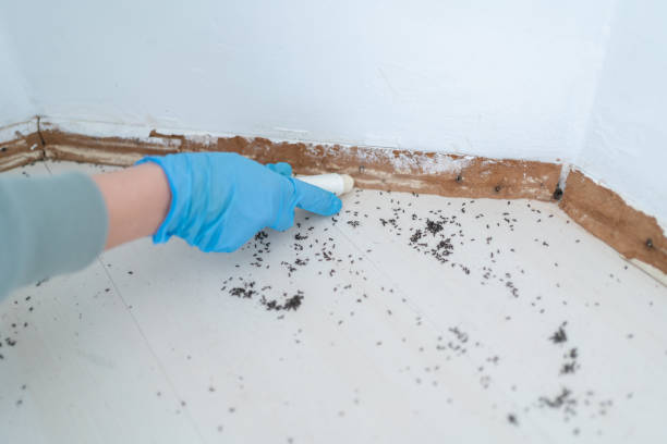 Pest Prevention Services in North Ridgeville, OH