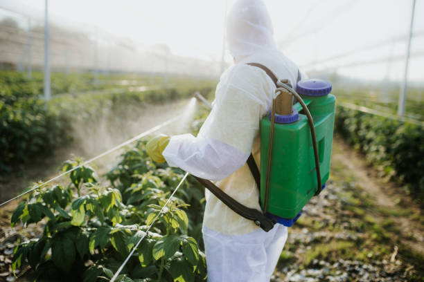 Best Bed Bug Extermination  in North Ridgeville, OH